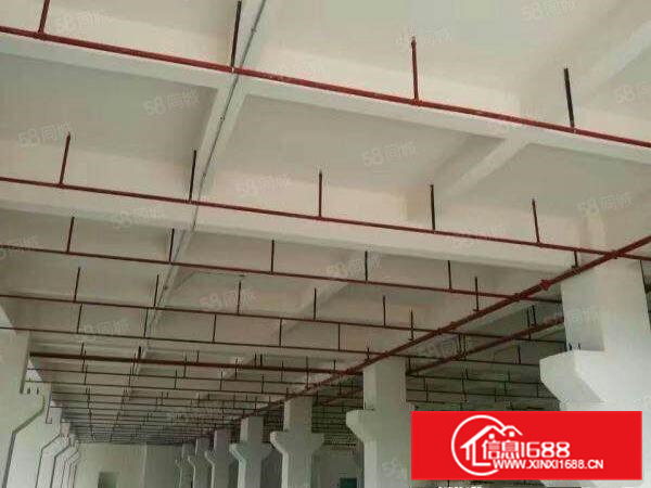 带喷油环评，塑料环评，丝印印刷环评全新厂房出租