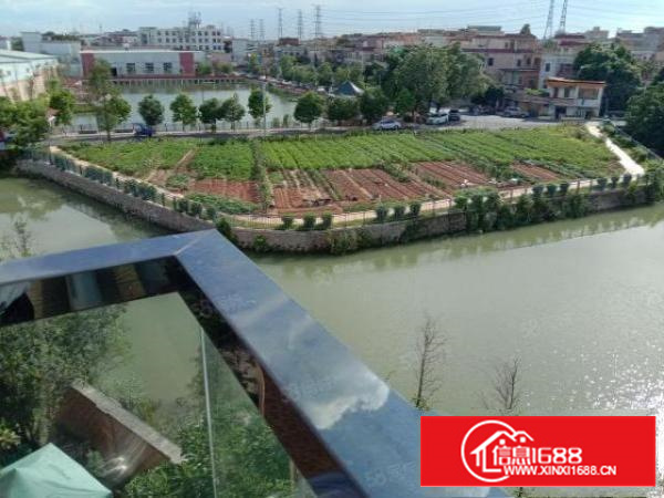 万江区，整栋办公私人会所，面积1380平方，出租30元，