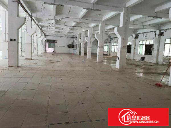 大朗镇标准工业厂房出租