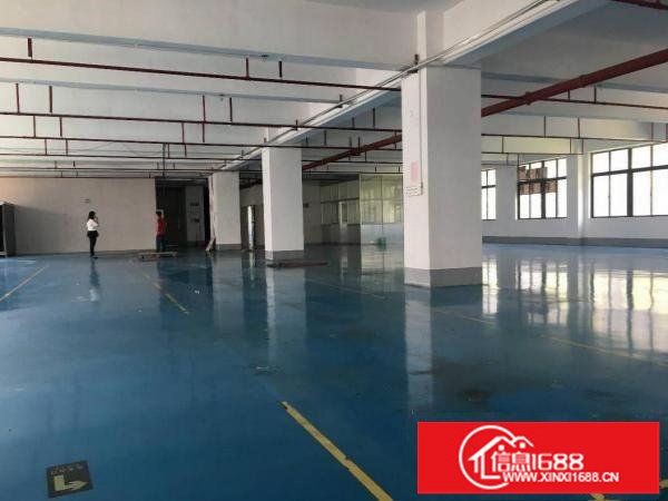 横岗六约新空出750平方厂房豪华办公仓库出租