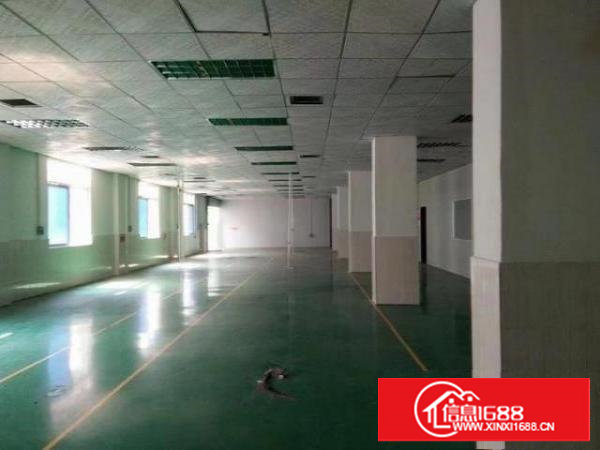 沙头新出二楼带装修500平方米厂房出租