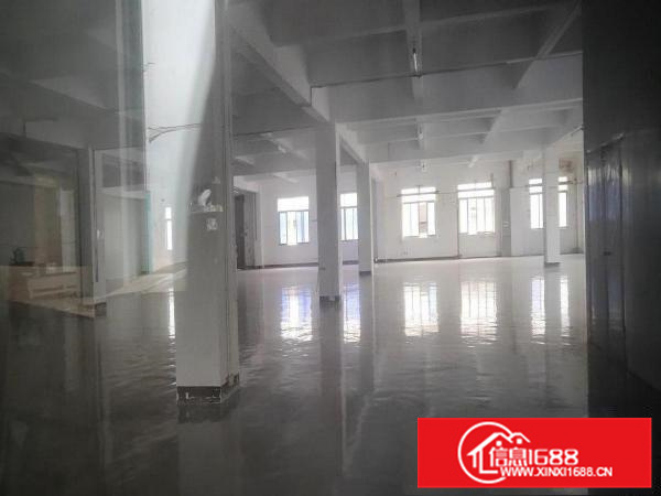 西安利之星奔驰推荐！沥林一楼厂房出租900平米