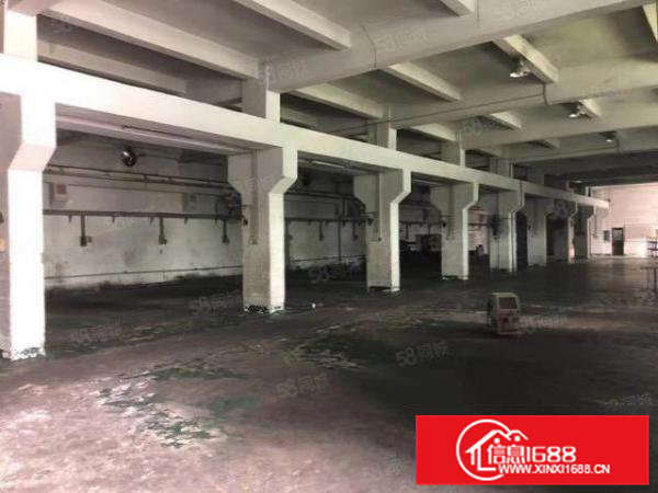 茶山镇分租一楼厂房2100平方现成牛角位