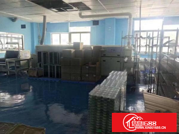 宝龙高科大道精装修1550平整层招租，无转让费