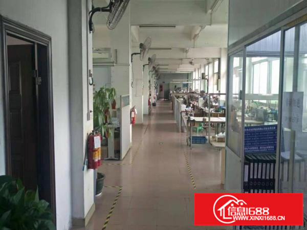 永湖地铁站100米新出2楼整层900平方带精装修办公室