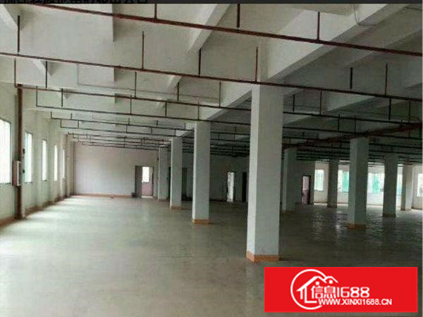 出租坪山新区坪山2楼1200平方现成装修形象好水电充足