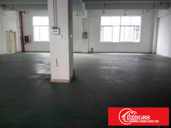 观兰牛湖石二村新湖路4楼360平米厂房出租
