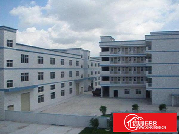 常平镇板石村常东路工业园招租