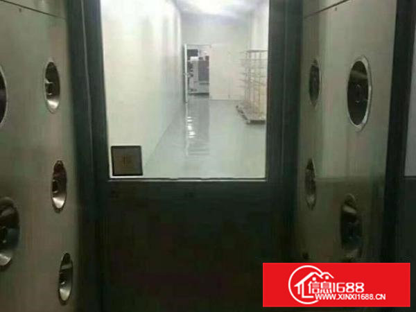 大岭山原房东精装修无尘车间厂房1375平米出租