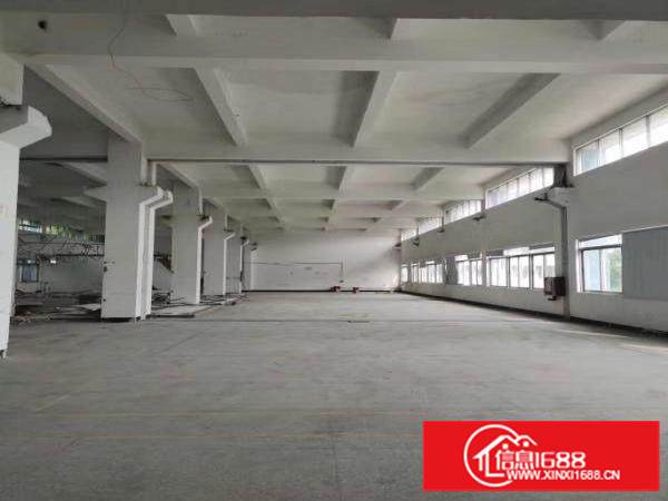 坂田五和一二楼厂房出租200平500平1000平可分租