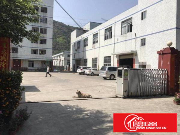 。原房东。紧邻大路。樟木头4000平方米二层独院厂房出租。