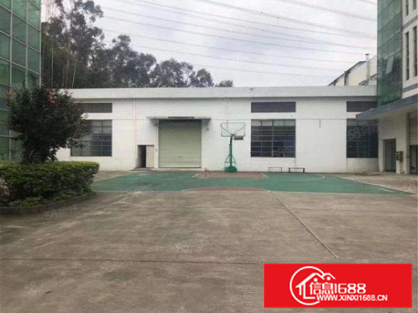 黄江临深钢构800方，原房东工业用地，带牛角空地大，滴水8米