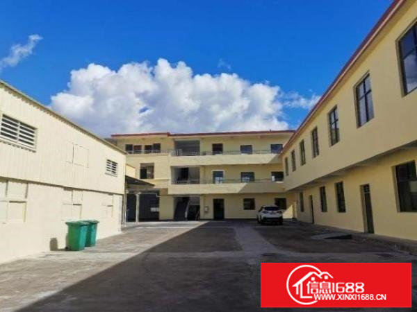 坪山石井工业园边上3424平小独院出租可办租赁合同