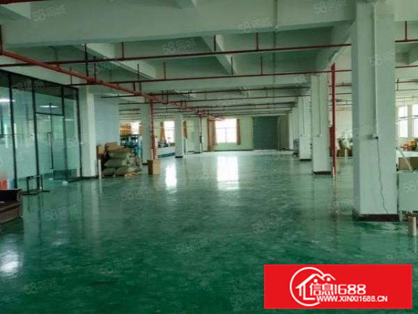 常平新出楼上精修厂房出租一整层3500平方，带办公楼有宿舍