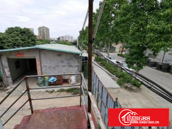 塘厦镇蛟乙塘铁皮房钢构空地仓库铺位出租农业豆芽场农业种植农田