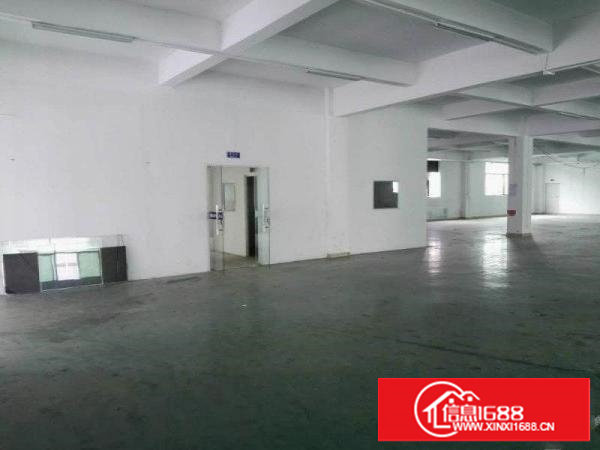 樟木头独院厂房三层4000平米首高5米