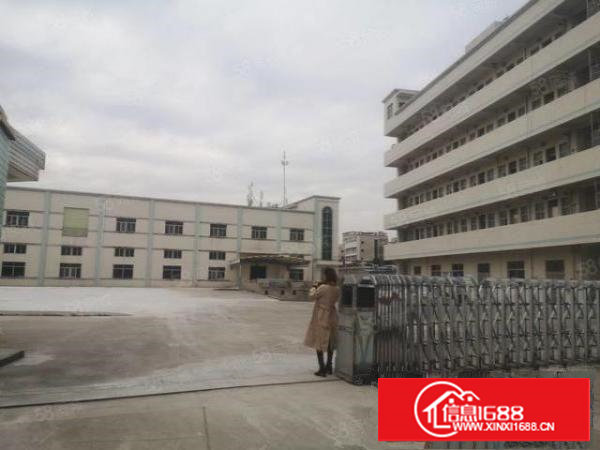 低价出租大坪高速出口独院6200平滴水6米带牛脚园区空