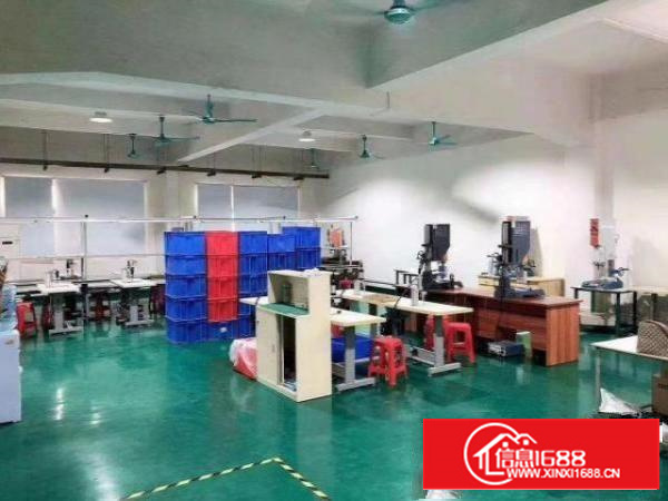 出租茶山城区，256平，价格便宜，水电齐全，位置好，急租急租