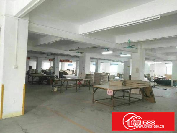 高埗唯一带红本独门独院标准厂房28000平，可分租