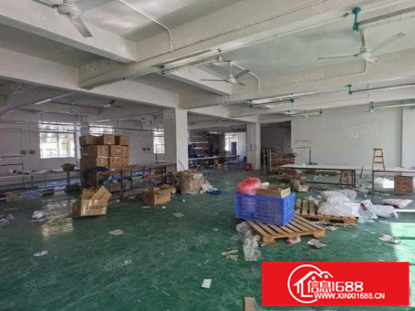 凤岗新出独门独院5000平方大马路边行业不限水电齐全大小分租