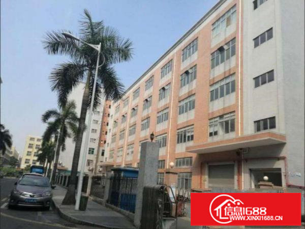 龙岗区坂田2楼整层800平方带装修厂房原房东招租