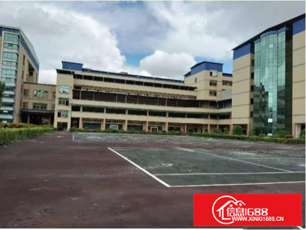 大岭山独院三层15000平方，可分租，可办环评