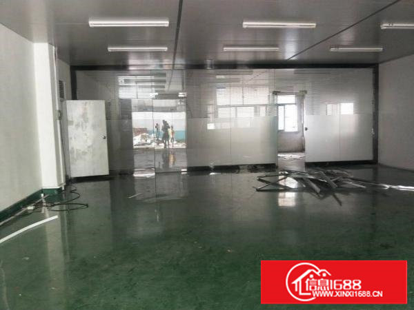 厦岗两层独门独院共3100平方，也可分两独院或分租