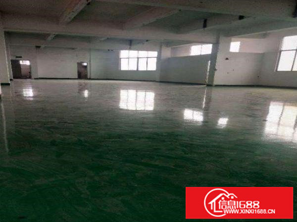 出租龙岗龙城新出楼上530平方出租精装修水电齐全