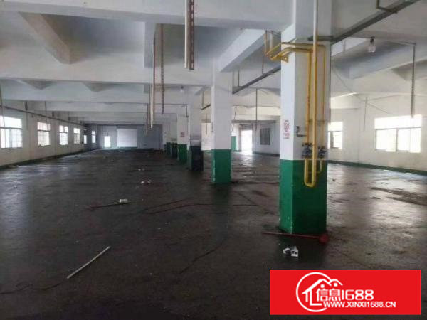 凤岗金凤凰独院一楼1800平方免费空地1100平方