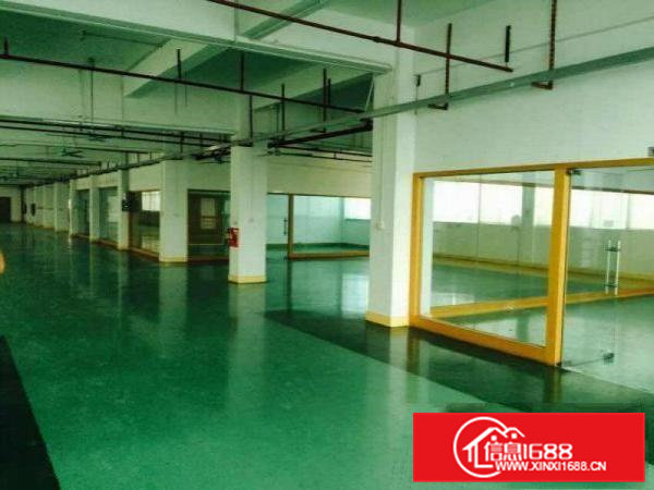 茶山新出独院厂房分租2楼1380平方现成地坪漆