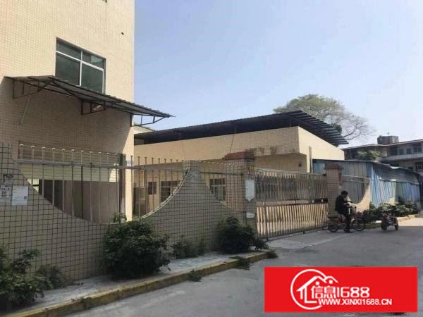 龙岗新生北通道边原房东独院5580平空地2000平