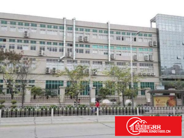 大浪新出4万平带红本单层面积3500平高新科技园出租