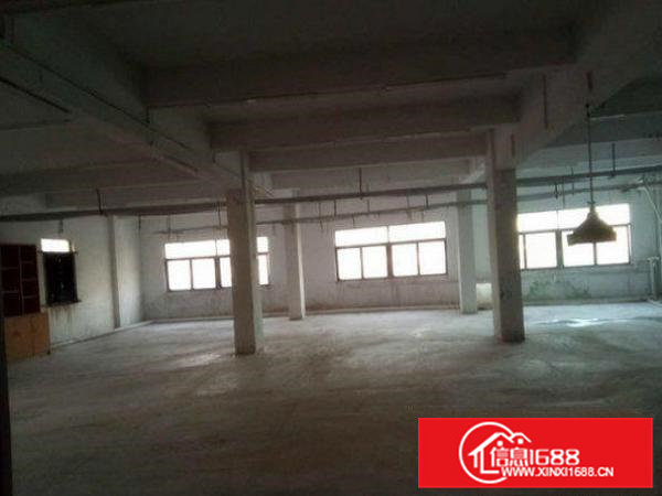 清溪青皇2000平方独院厂房出租可分租租金便宜