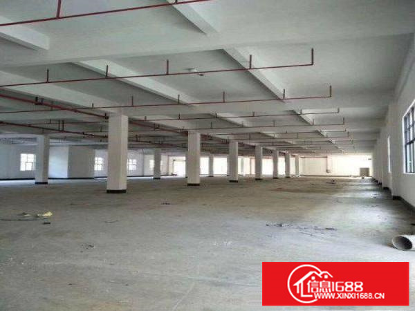 惠阳秋长原房东厂房3200平米无公摊独门独院