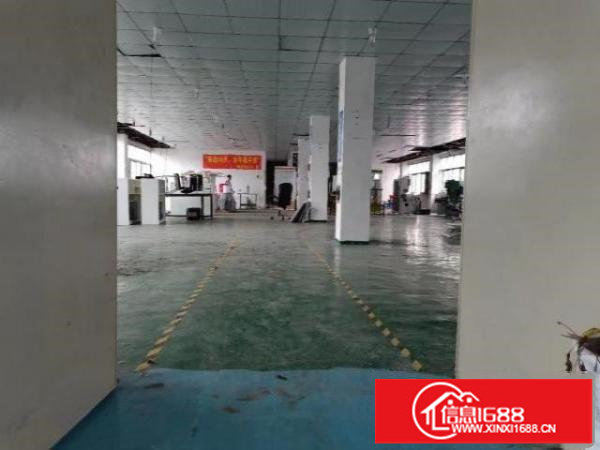 深圳观澜厂房低价出租分租合租