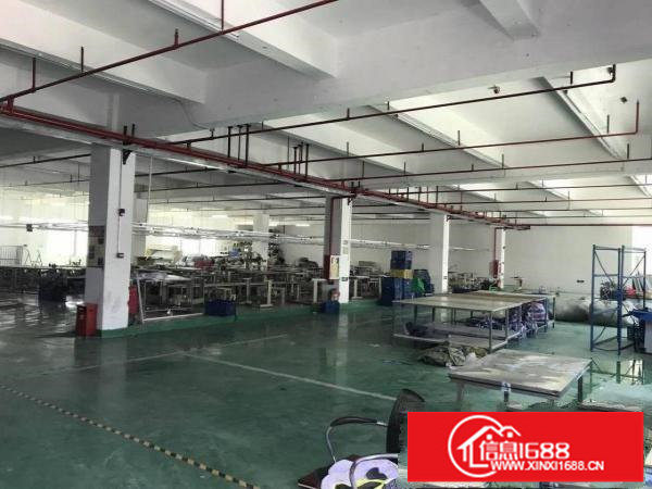 横岗大康沙荷路边原房东厂房2楼带装修1558平方米