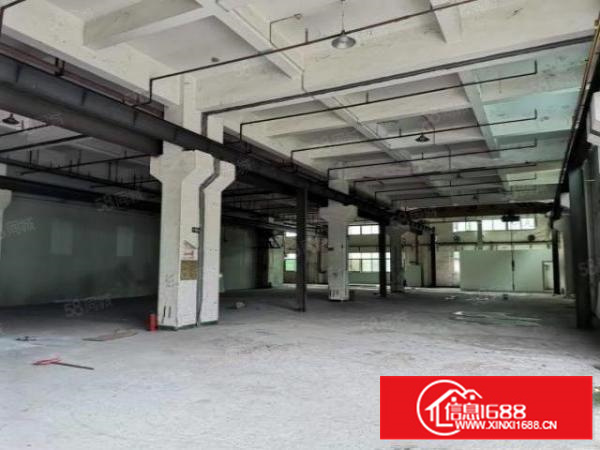 石碣唐洪标准厂房一楼900方（内高6米带5吨行车）