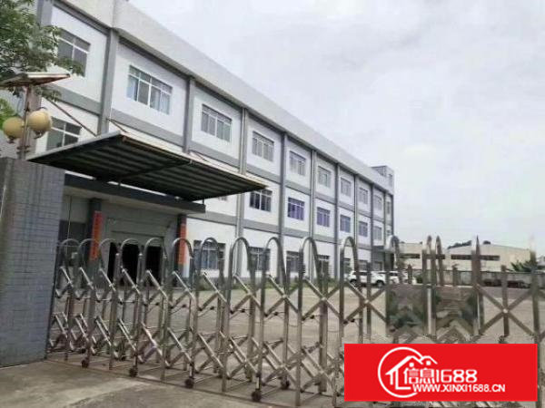 出租常平大量原房东标准钢构厂房500平1000平2000平等