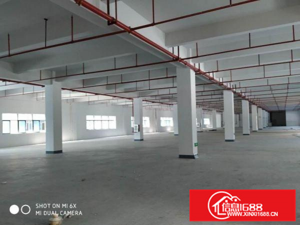 惠州市博罗县高新产业园全新标准厂房出租