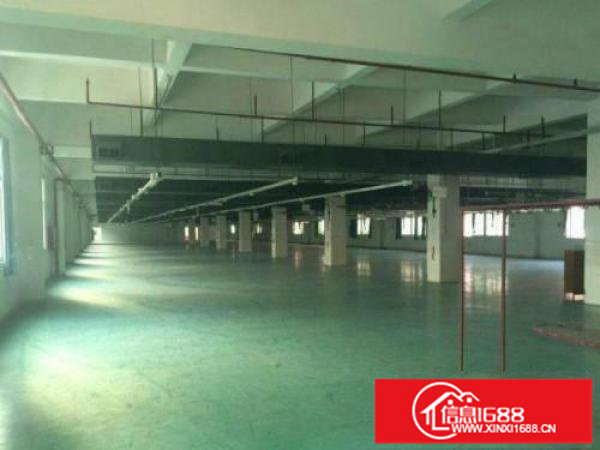 龙岗厂房在上木古宝来工业区，现出租三楼1000分租