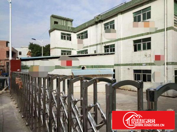 出租坪山新区坑梓厂房，价格实在，厂家直接来电，中介勿扰