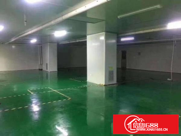 樟坑径上围无尘车间600平方