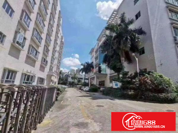 龙华油松原房东红本独院厂房出租30000平方出租