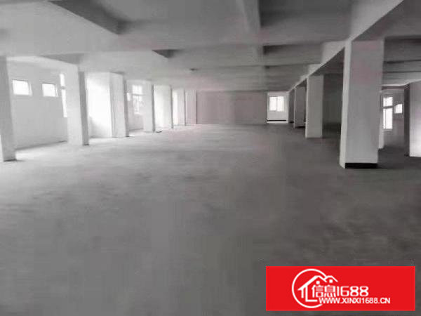 虎门北栅全新厂房出租单层面积3000可分租