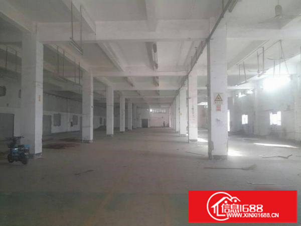 大康原房东一楼2800平方厂房出租