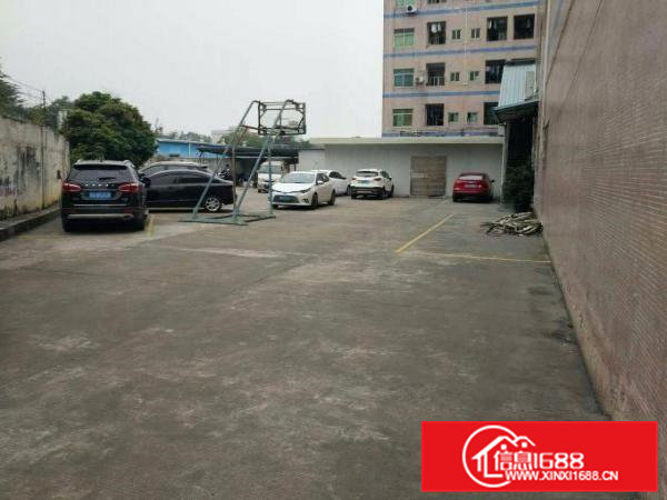 清溪罗马新出标准一楼2260平方可分租