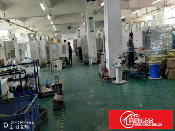 邻近新生带装修厂房1楼2楼每层1300平方出租