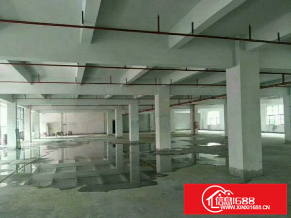 凤岗高速出口一楼厂房1200平方现成消防喷淋