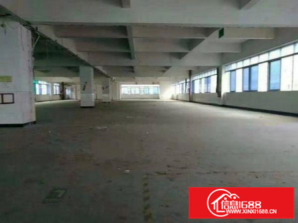 3000平厂房大小分租20/平