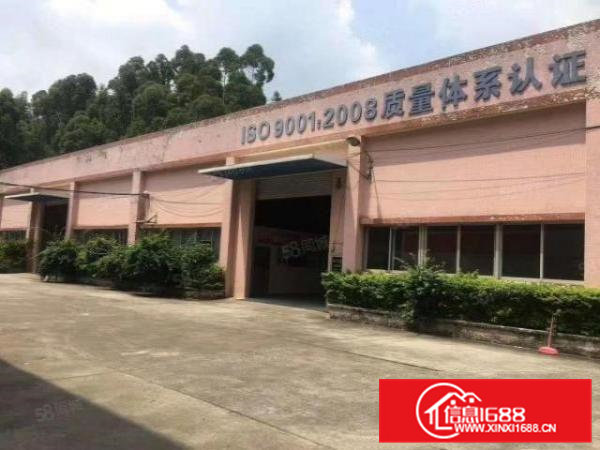 桥头镇新出原房东单一层钢构厂房484平方，带有现成精装办公室